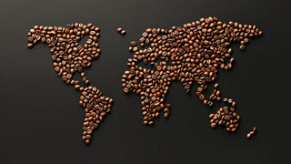 Single-Origin Coffee vs. Coffee Blends: Which Is Right for You?