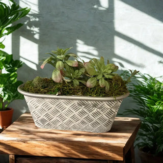 Oval Basketweave Planters, Set of 3