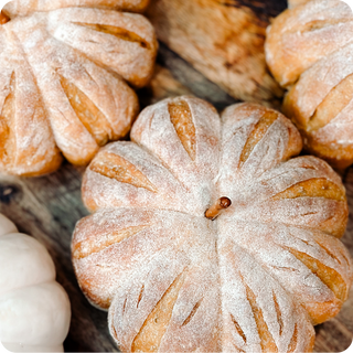 A Taste of Sourdough Cookbook