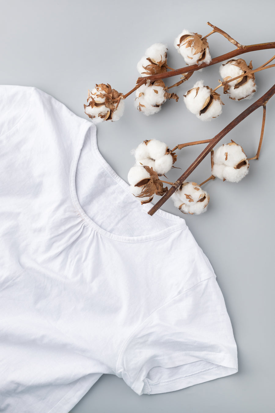 Organic Clothing & Slow Fashion